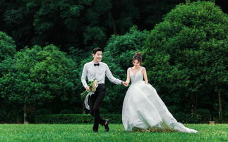 巴黎春天婚纱摄影综合评价 价格、联系方式与平台合作解析